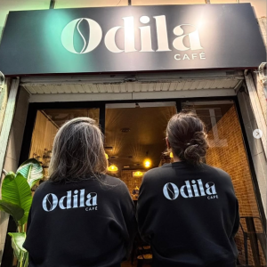 odila 3